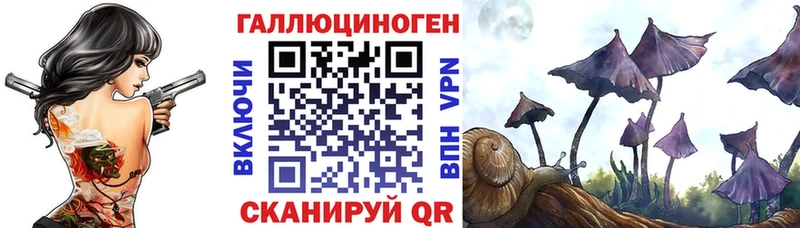 гидра   Менделеевск  Псилоцибиновые грибы Cubensis 